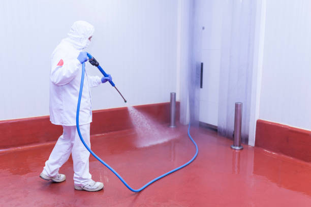 Best Roof Washing  in Pu, HI